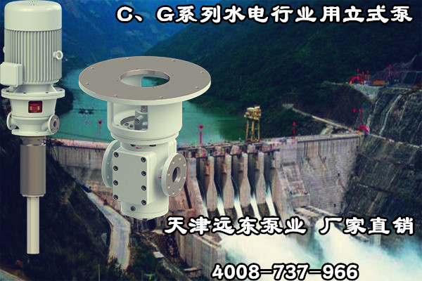 C、G系列水電行業(yè)用立式泵 C、G系列水電行業(yè)用立式泵